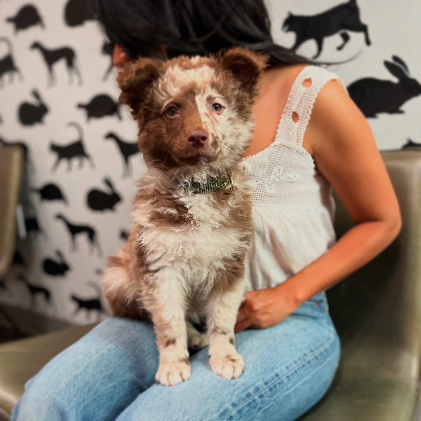 D1DD9755-BBDF-4803-8F9E-06070B58081F