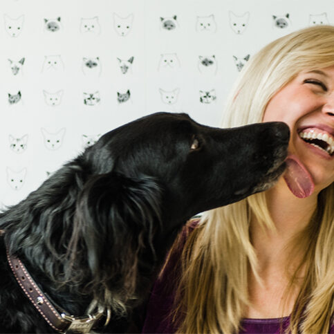 Happy dog at Paz East Austin interacting with a veterinarian