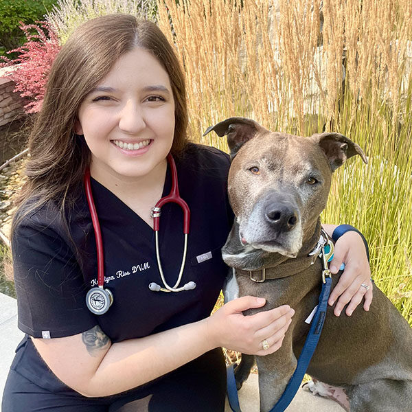 Small dog on their way to an ultrasound at Paz South